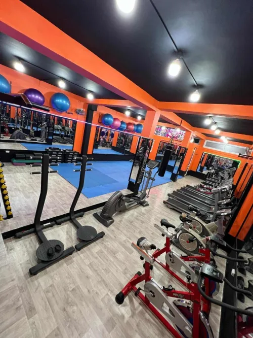 matériel de sport musculation