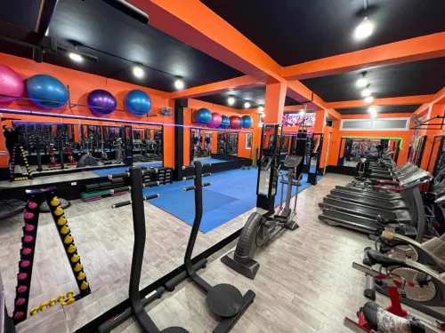 matériel de sport musculation