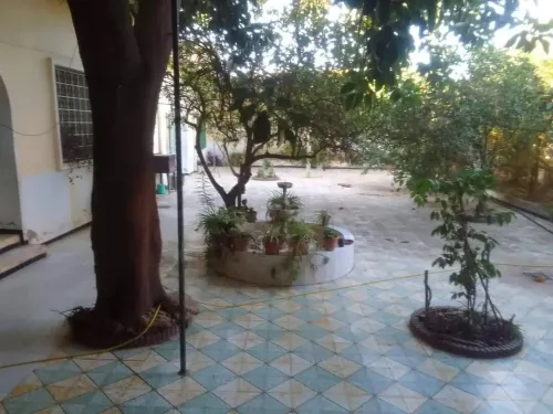 Vente Appartement Tlemcen Hennaya