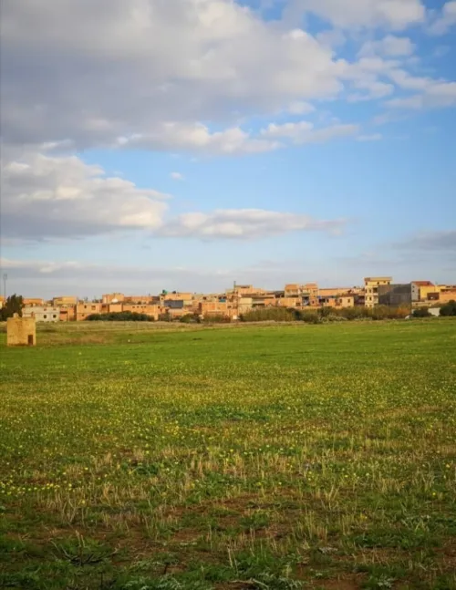 Vente Terrain Alger Rouiba