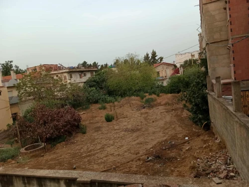 Vente Terrain Boumerdès Hammedi