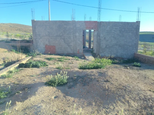 Vente Terrain Saïda Ouled khaled