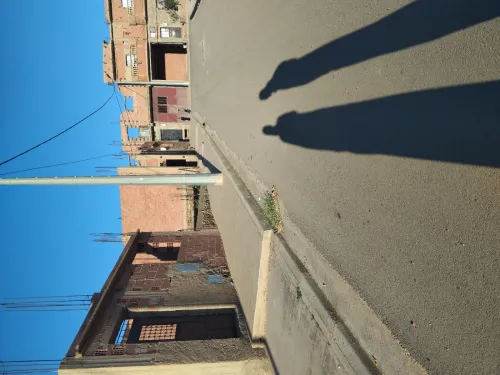 Vente Terrain Saïda Ouled khaled