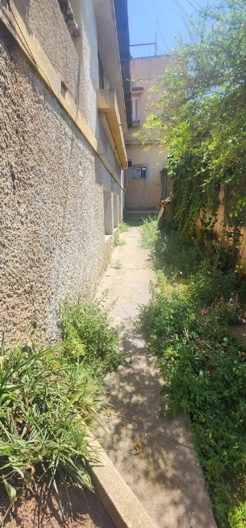 Vente Villa Alger Alger centre