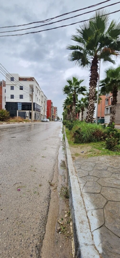 Vente Terrain Alger Rouiba