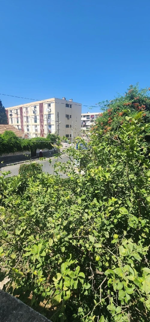 Vente Villa Alger Alger centre