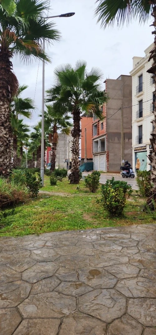 Vente Terrain Alger Rouiba