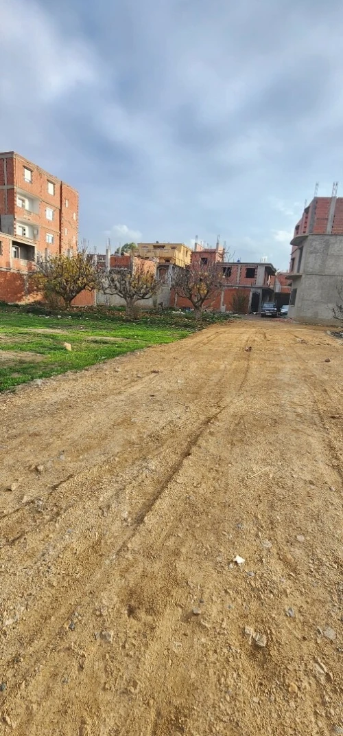 Vente Terrain Blida Ouled selama