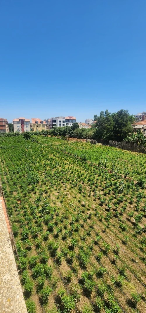Vente Villa Alger Bordj el kiffan