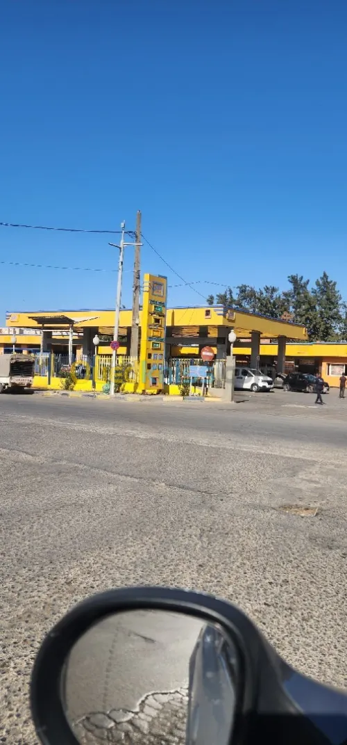 Vente Terrain Alger Douera