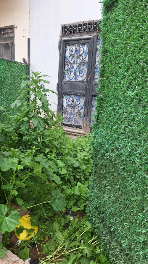 Vente Appartement F2 Guelma Belkheir