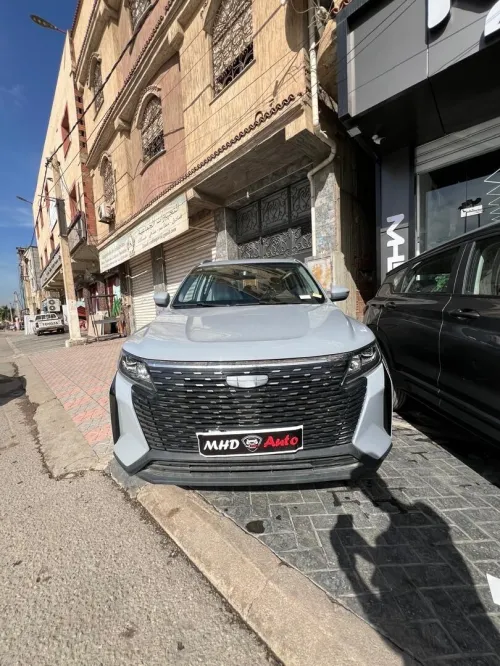 Geely Pro 2025 Hayo
