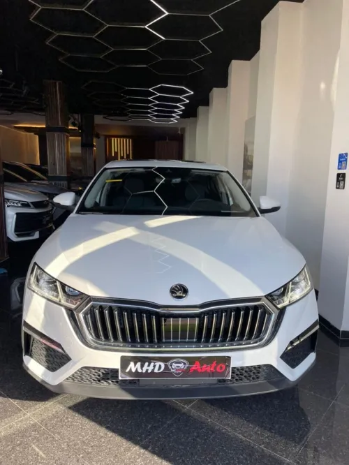 Skoda OCTVIA 2025 PRO