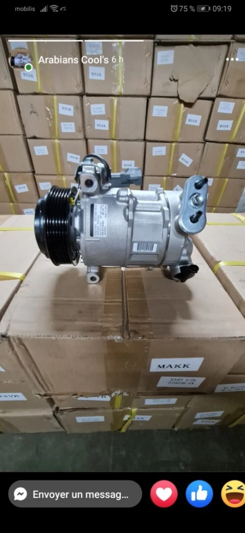 Compressor climatiseur 