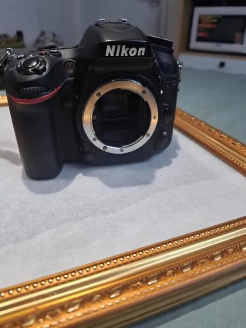 Nikon D7100 