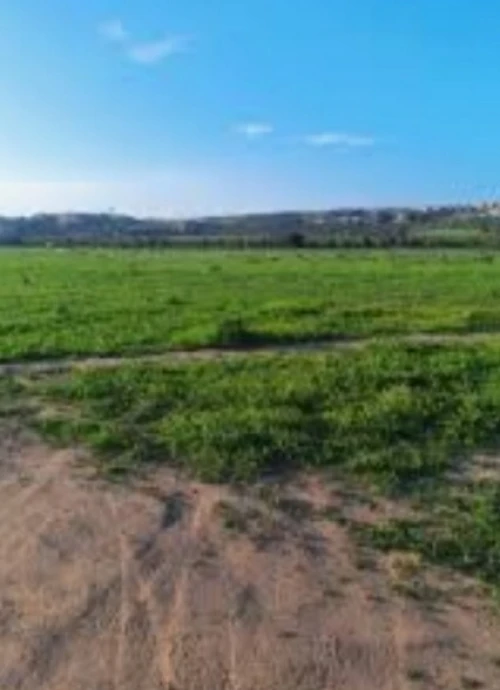 Vente Terrain M'Sila Ouled sidi brahim