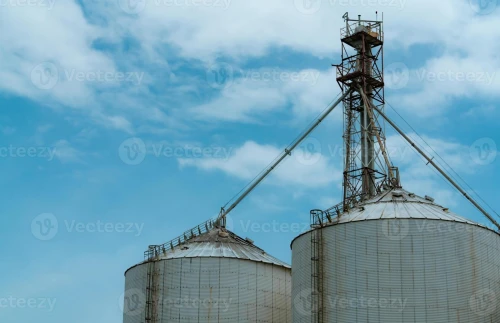 Silo de blé - cylindres - plansichter moulin