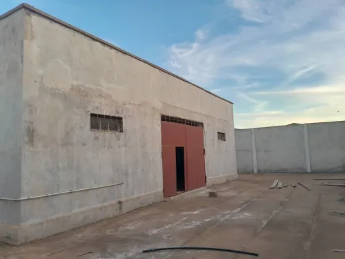 Location Terrain Aïn Témouchent Hassi el ghella