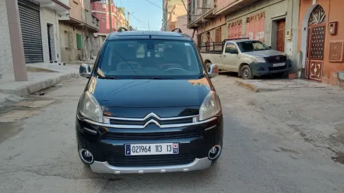 Citroen Berlingo 2013 Berlingo