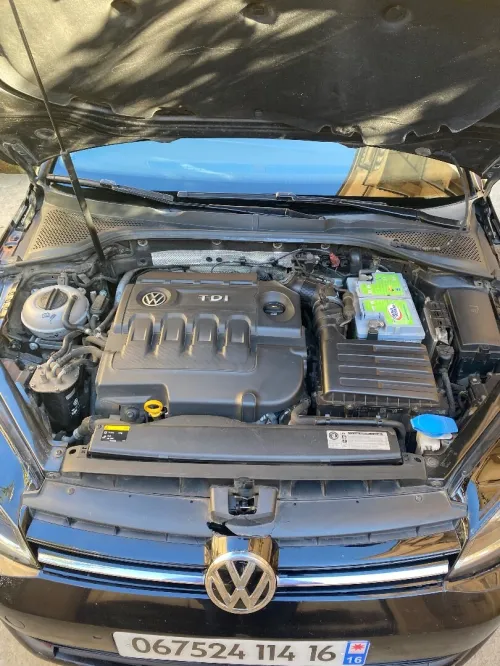 Volkswagen Golf 7 2014 Cup
