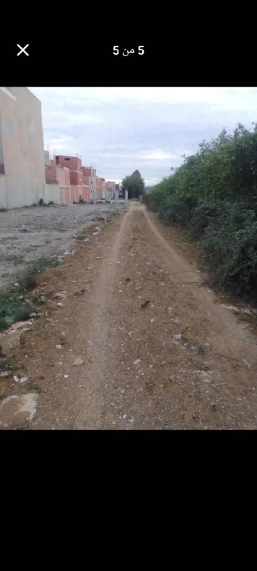 Vente Terrain Alger Sidi mhamed