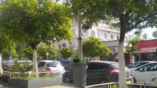 Location Appartement F3 Blida Blida 9