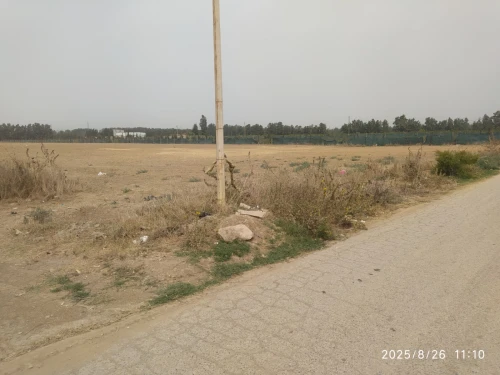 Vente Terrain Blida Beni mered