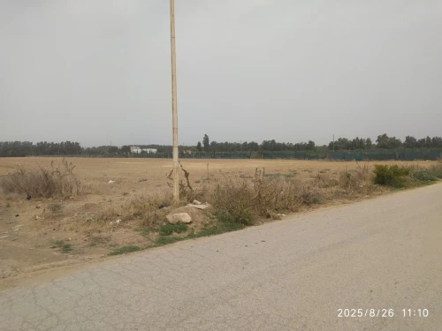 Vente Terrain Blida Beni mered