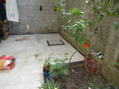 Vente Villa Blida Ouled yaich