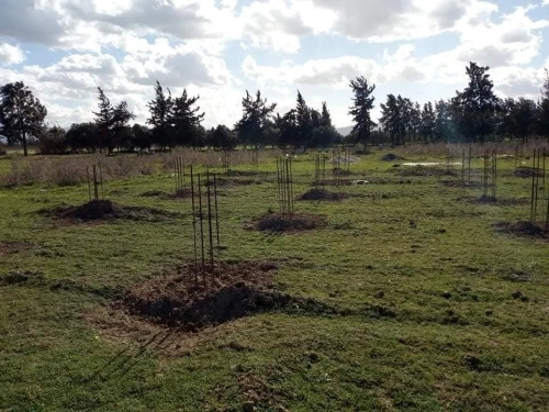 Vente Terrain Agricole Tipaza Sidi rached