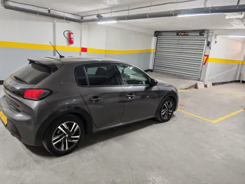 Peugeot 208 2022 208