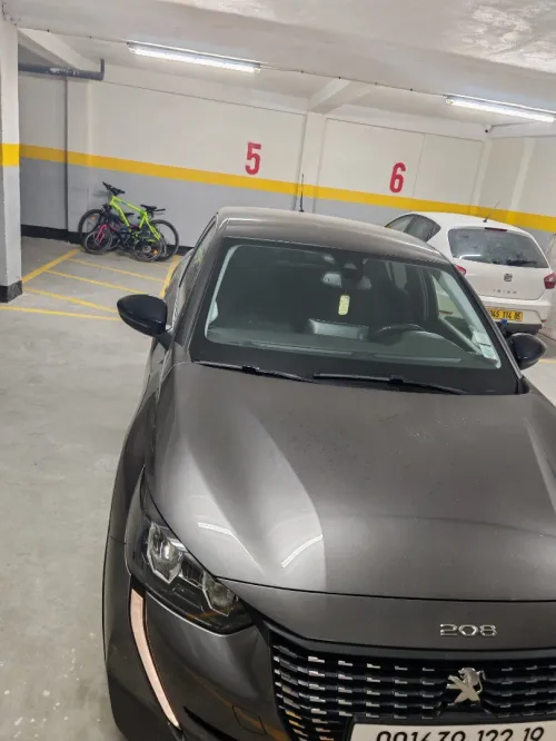 Peugeot 208 2022 208