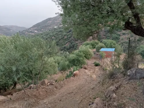 Vente Terrain Béjaïa Beni mellikeche