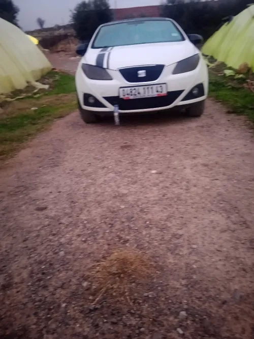 Seat Ibiza 2011 Loca