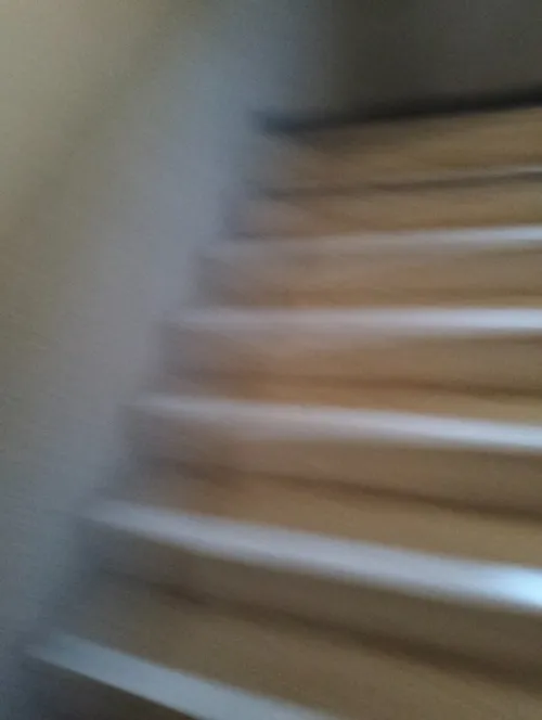 Location Appartement F4 Alger Dely brahim
