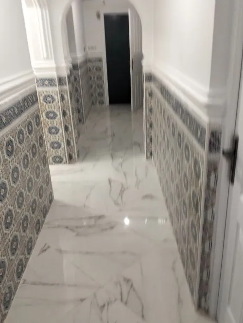 Location Appartement F4 Alger Dely brahim
