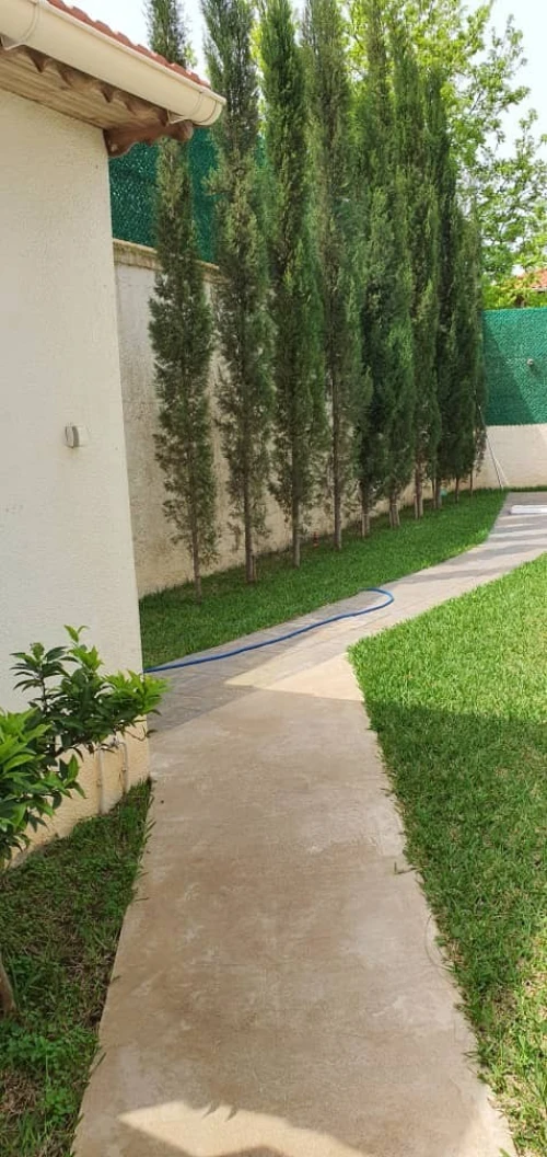 Location Villa Alger Bouzareah