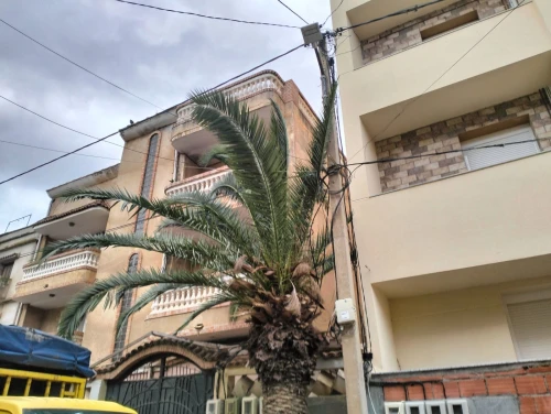 Vente Villa Alger Staoueli