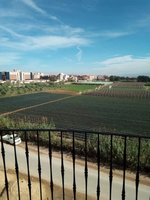 Vente Appartement Tipaza Kolea