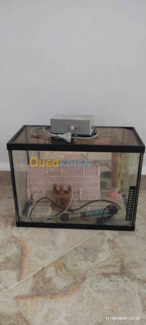 Aquarium 