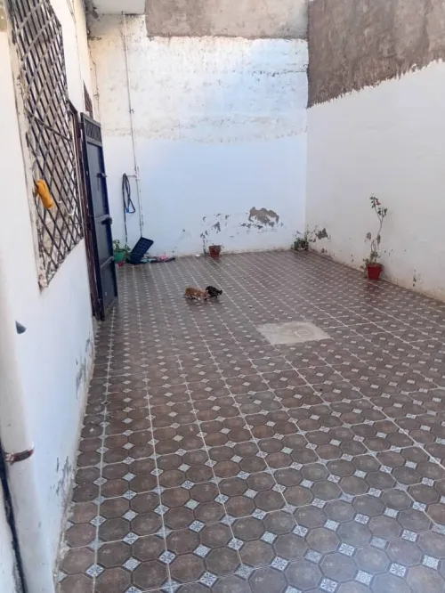 Vente Villa Oran Gdyel