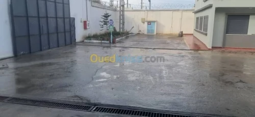 Vente Hangar - Usine Annaba Ain berda