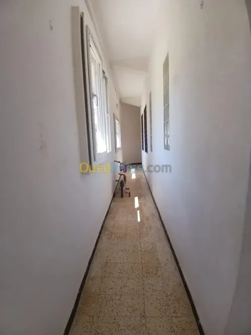 Location Appartement F3 Annaba Annaba