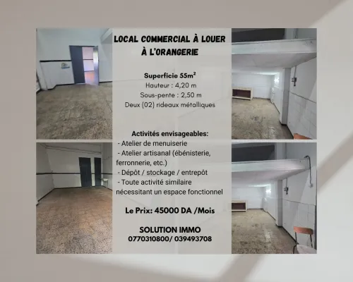 Location Local Annaba Annaba