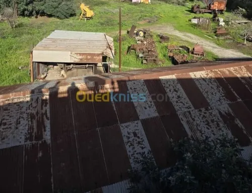 Vente Terrain Annaba Annaba