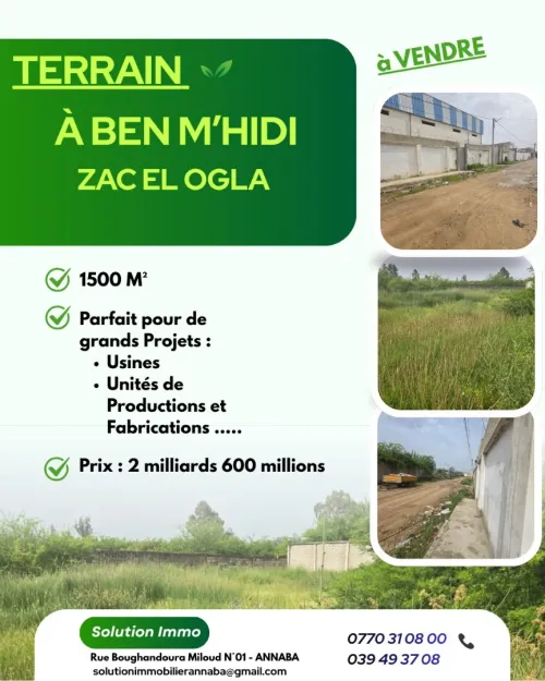 Vente Terrain El Tarf Ben mehdi