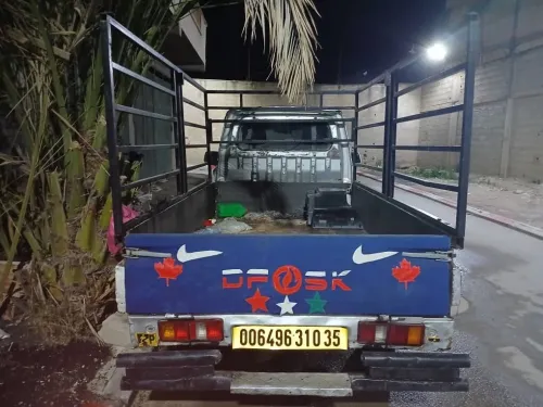 DFM DFSK 2010 DFM