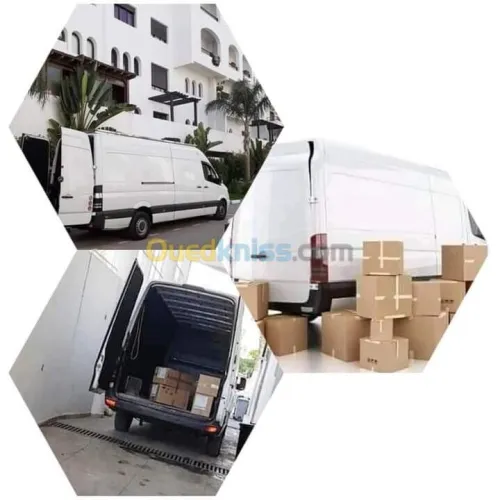 TRANSPORT/LIVRAISON /DEMENAGEMENT