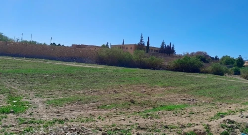 Vente Terrain Djelfa Charef