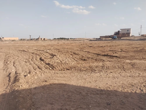 Vente Terrain Agricole Ouled Djellal Ouled Djellal